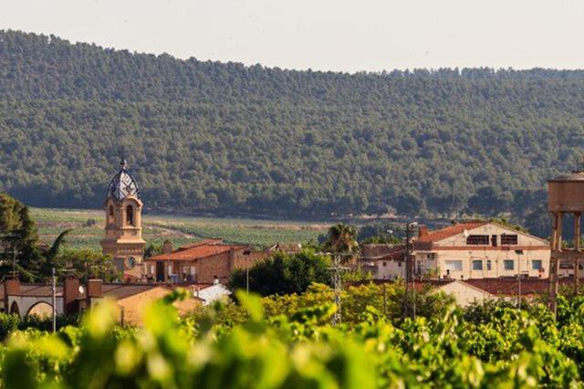 Fontanars dels Alforins estrena servei de transport de viatgers per carretera