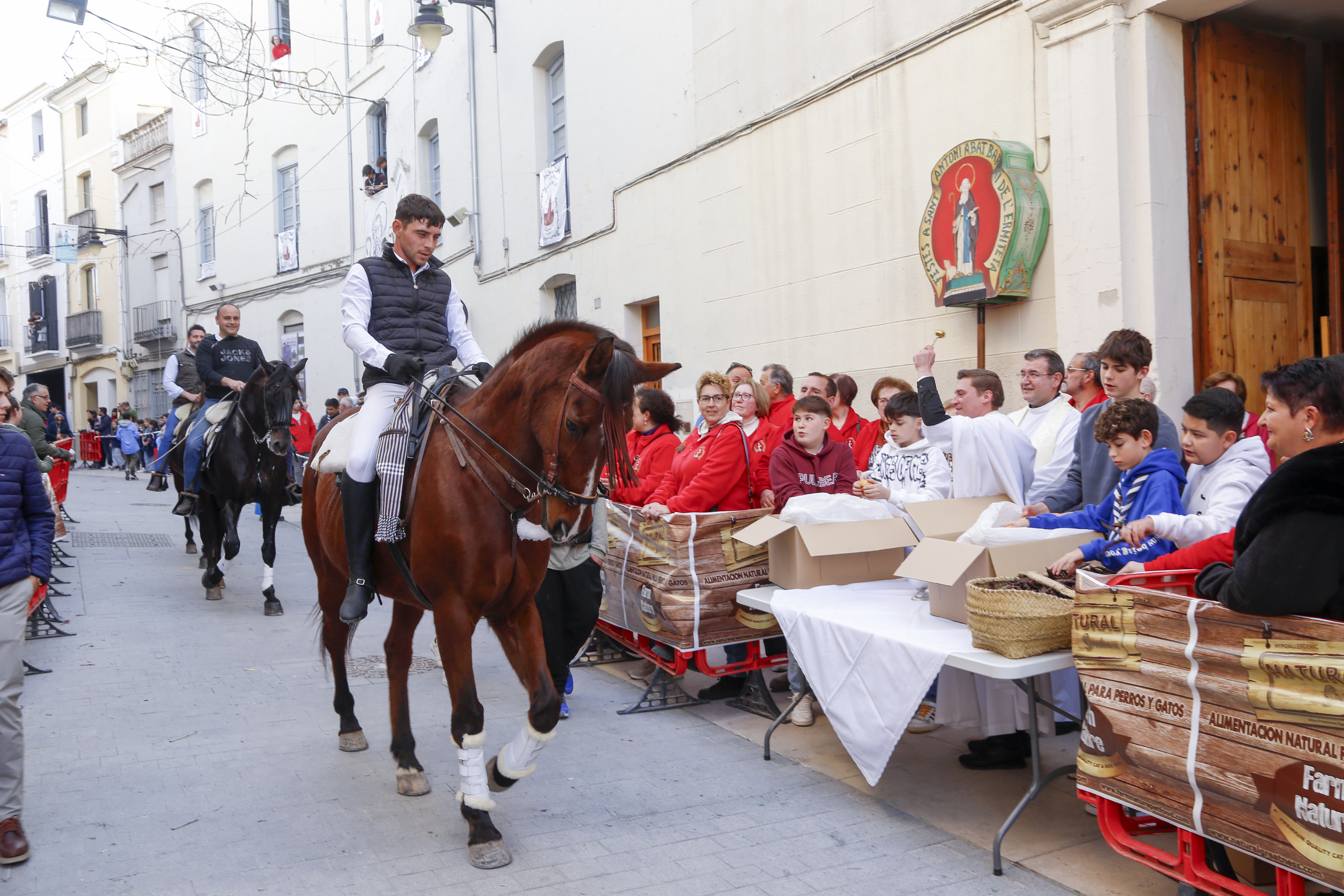 Sant Antoni 2024. Ontinyent