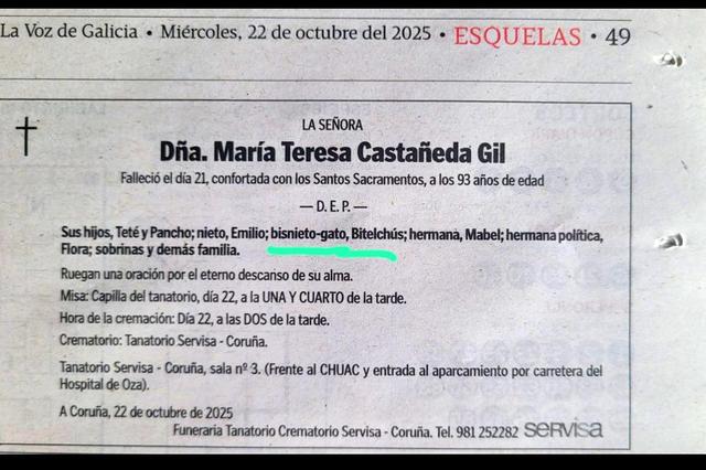 El gat de doña María Teresa 