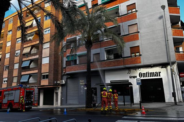 Se incendia una palmera en Daniel Gil, Ontinyent