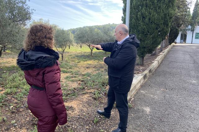 Agullent adquirix terrenys per a ampliar el cementeri 