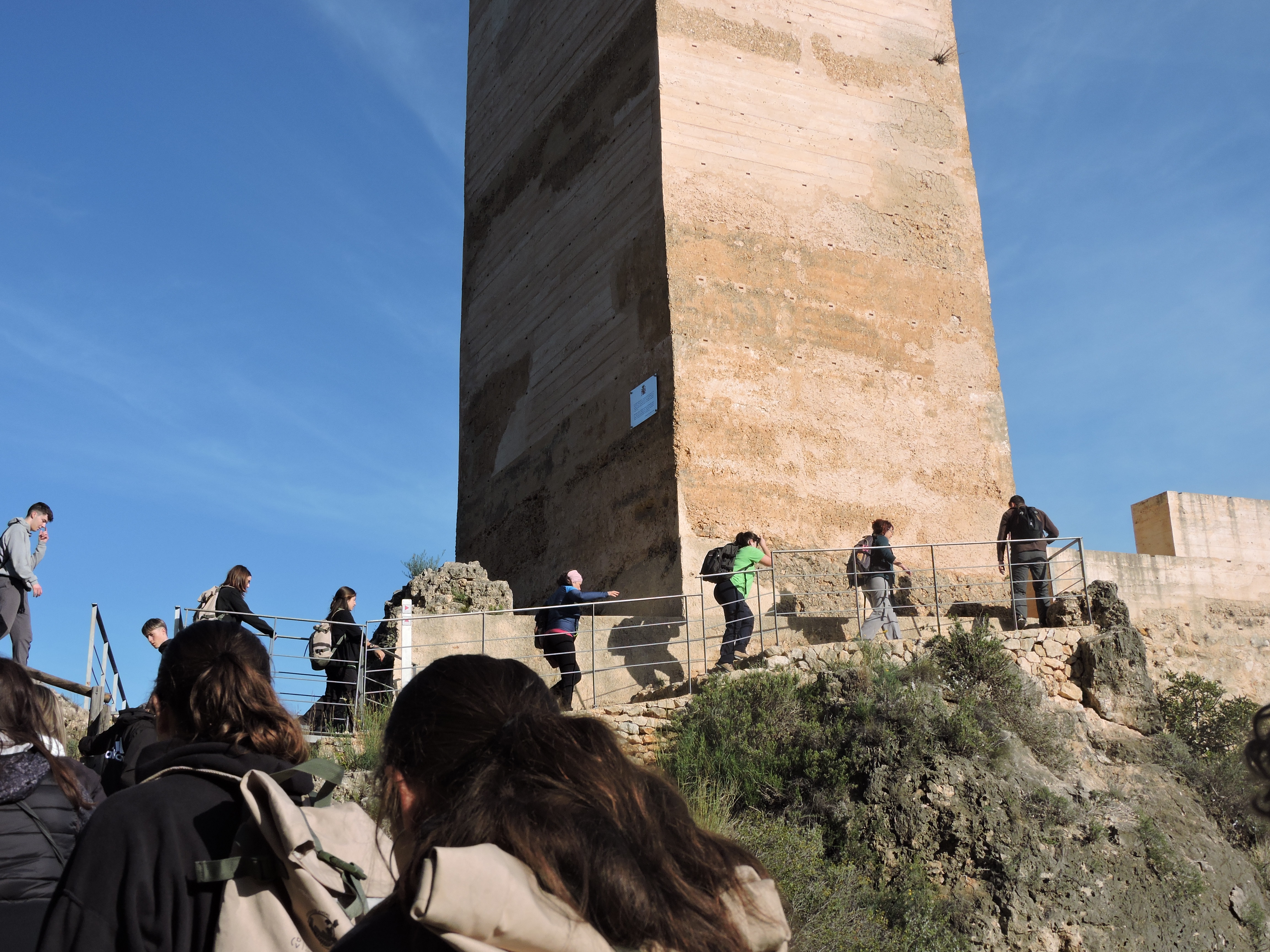 Expedició Juvenil Cavanilles en Carrícola