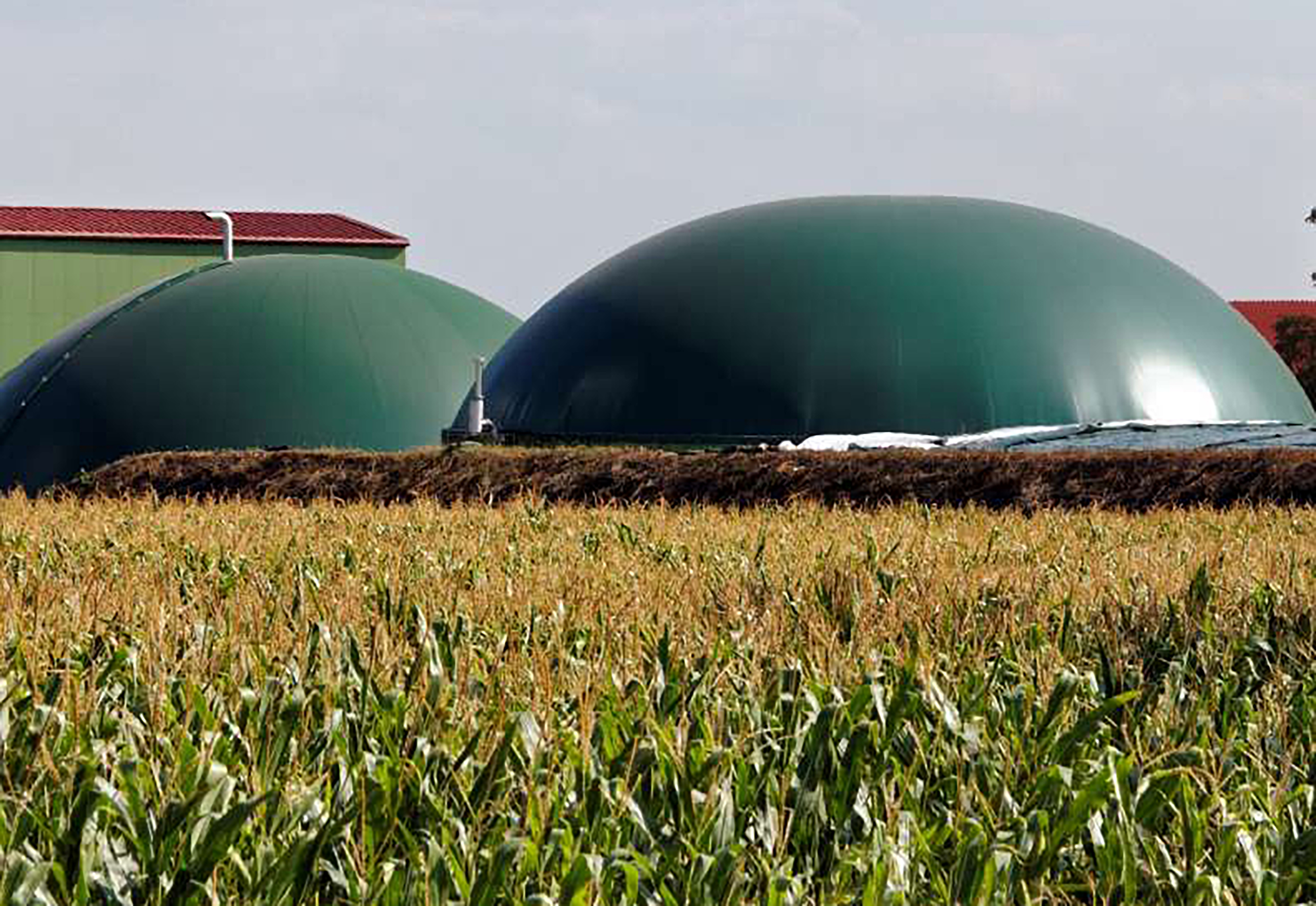 Planta de producción de fertilizantes