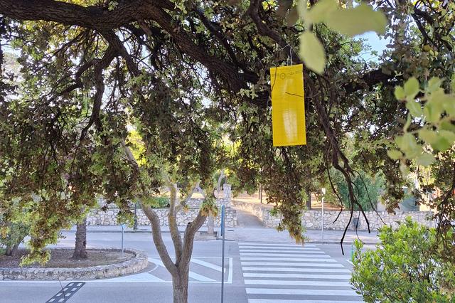 Ontinyent reforça el control de plagues i fomenta la biodiversitat