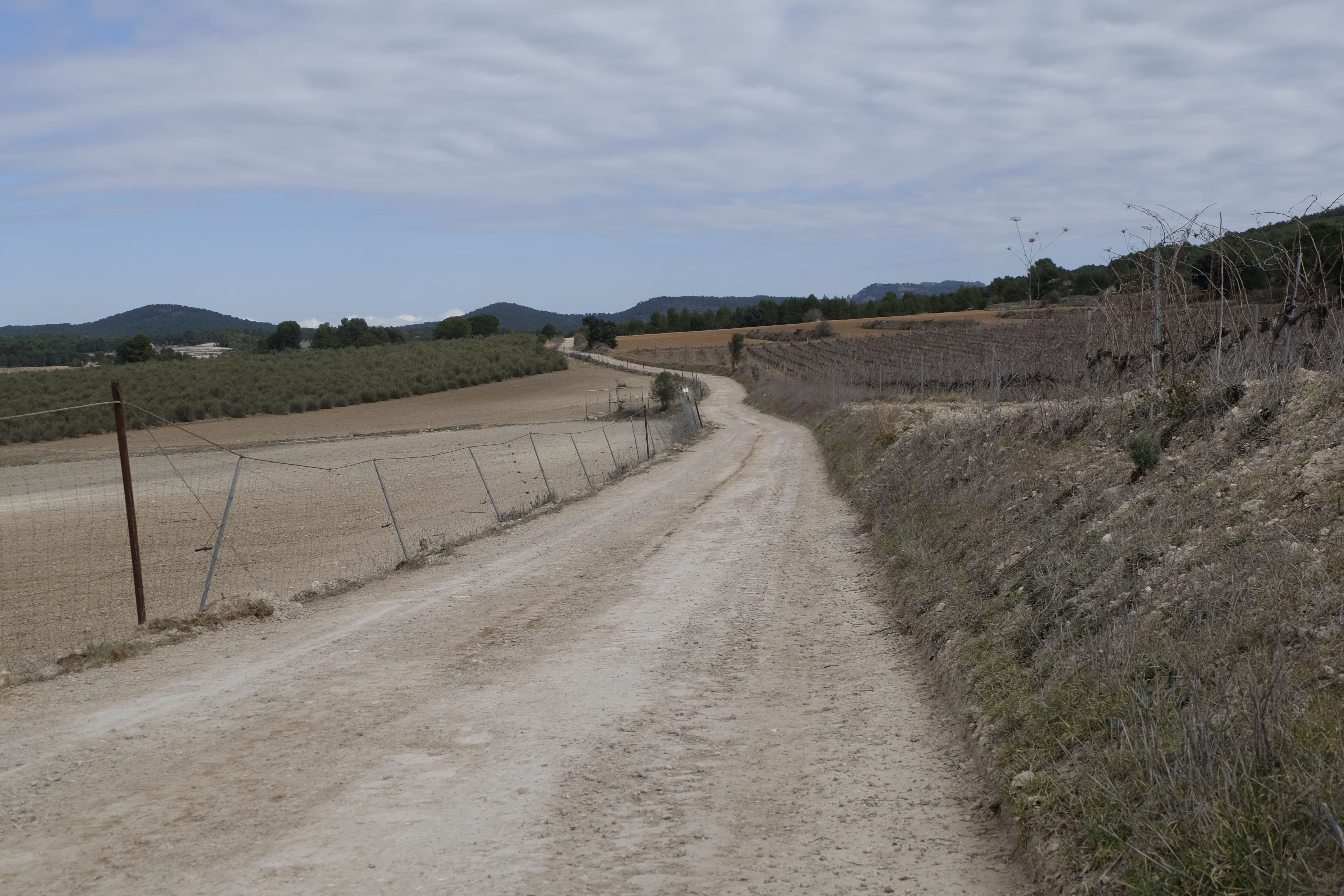 Camí rural en Bocairent