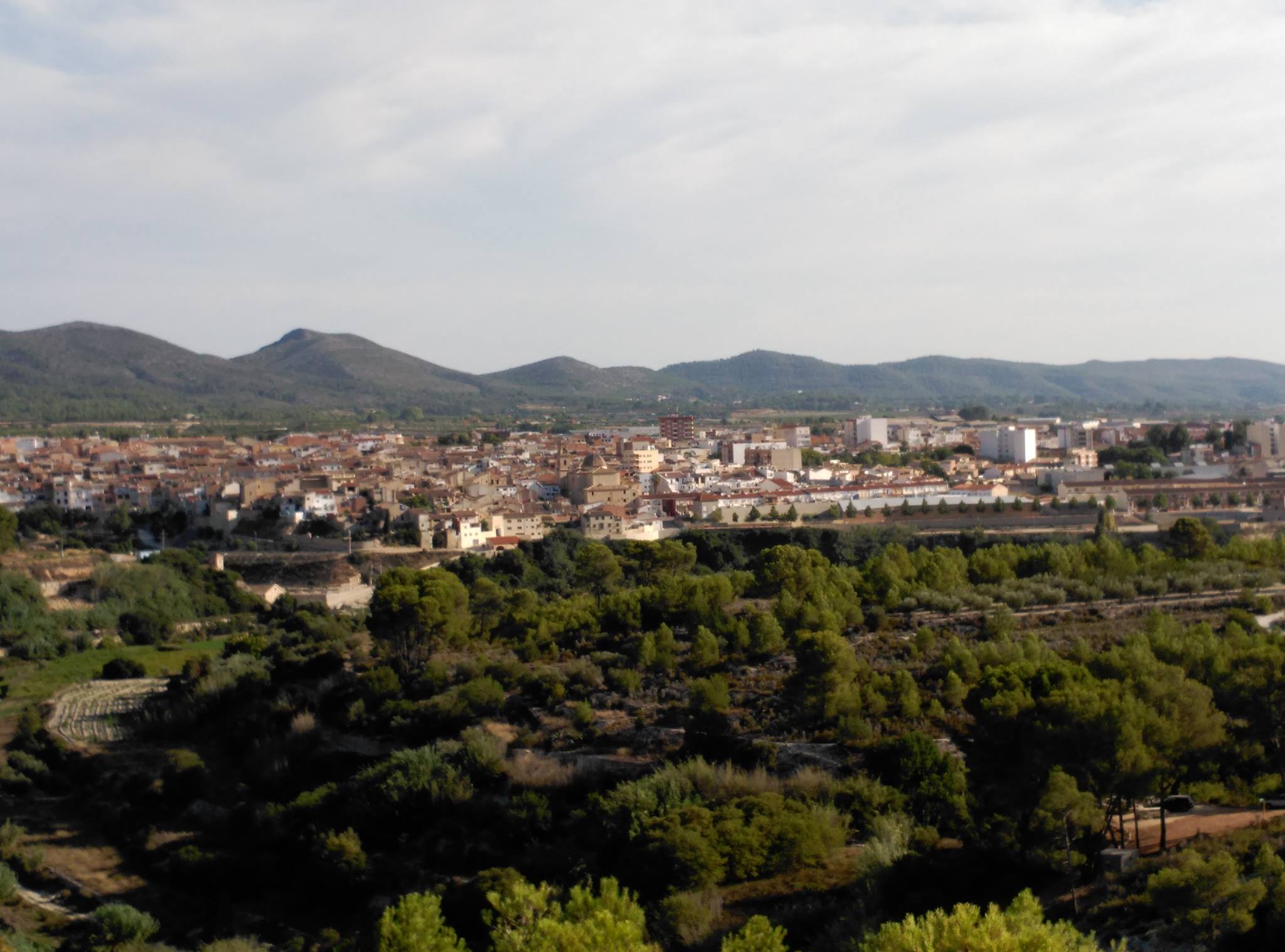 Foto: Asociación Vecinal de Aielo de Malferit