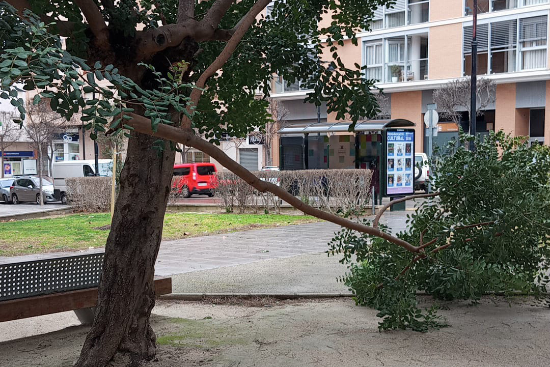 Incident pel fort vent hui dimecres a Ontinyent