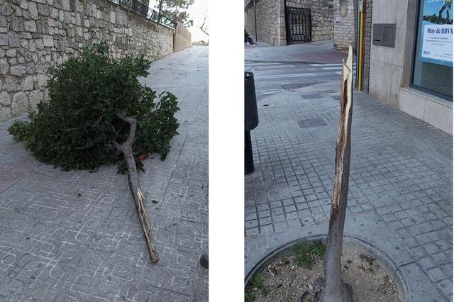 El fuerte viento deja hasta 7 incidencias en Ontinyent