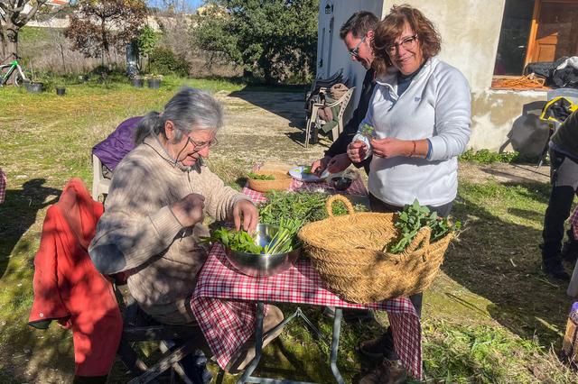 Crece el interés por las hierbas comestibles silvestres en Ontinyent 