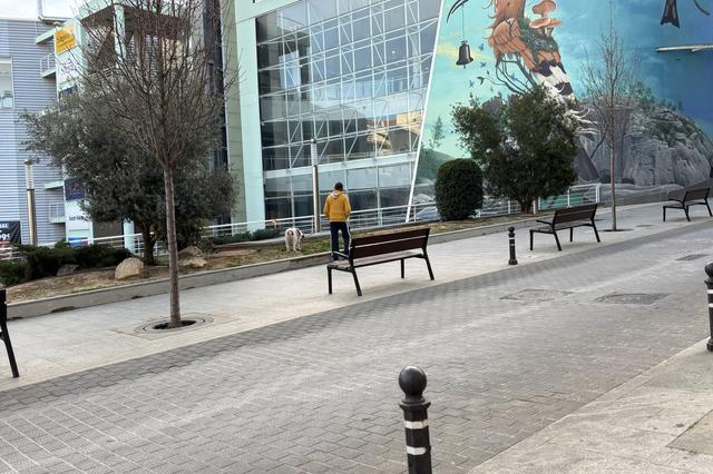 Ontinyent ya tiene más perros que menores de 20 años