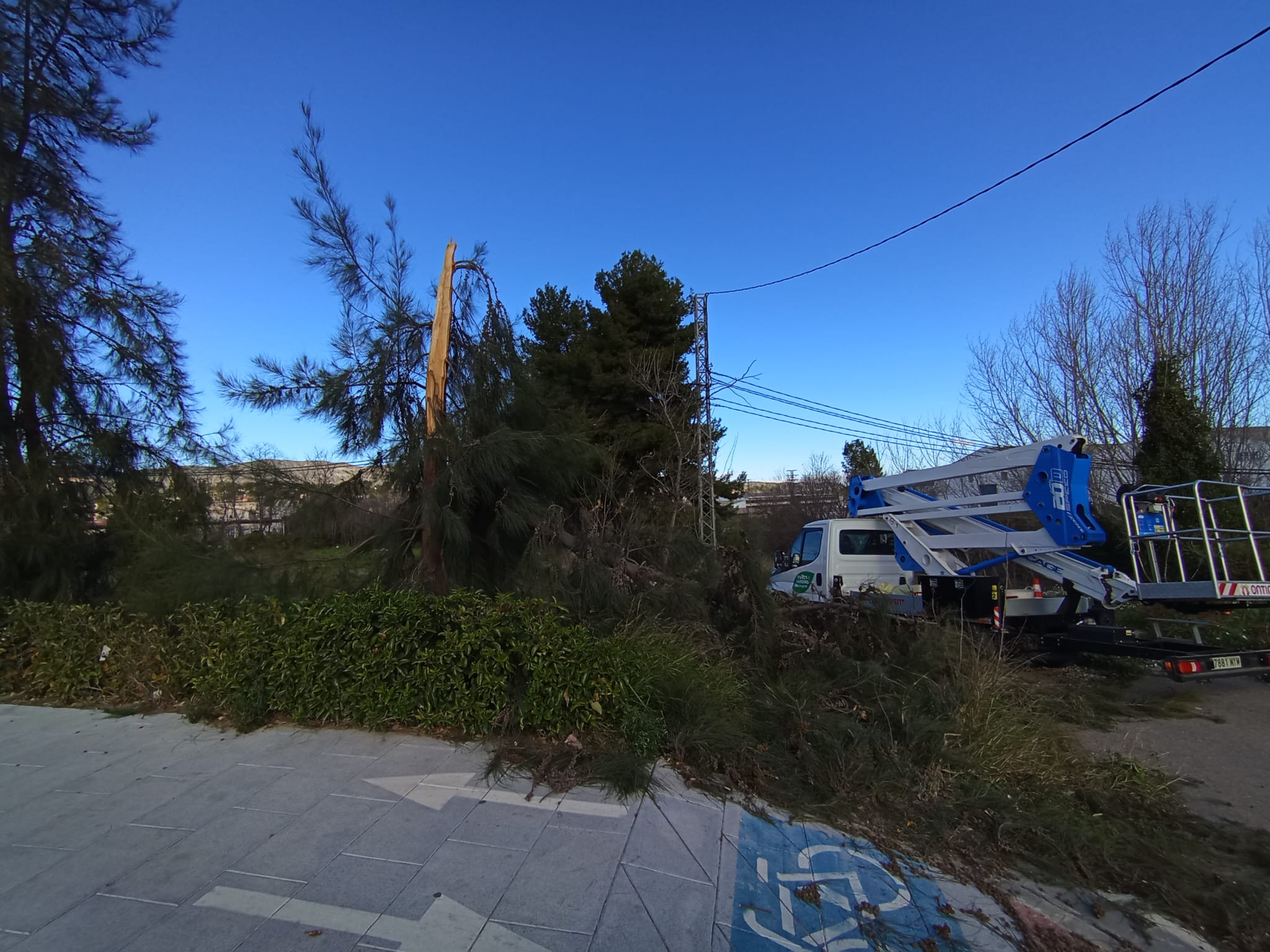 Retirada de un árbol caído en Ontinyent