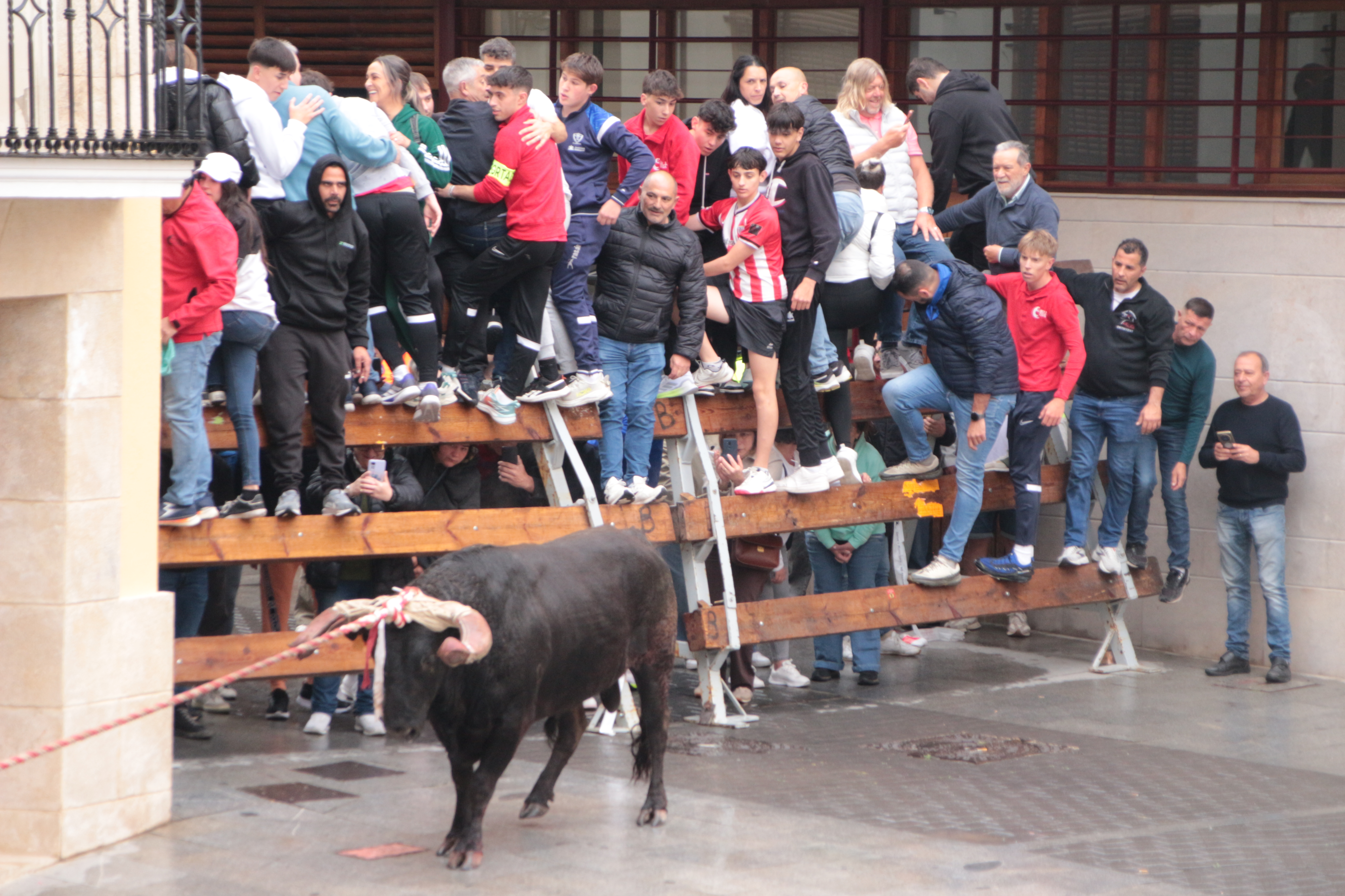 Bou de les Penyes 2026. Ontinyent